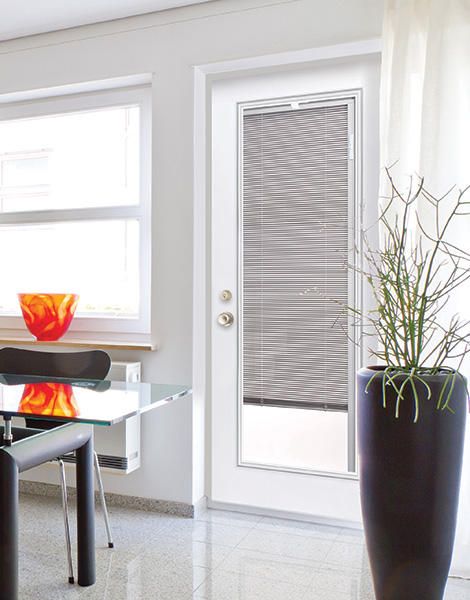 Discretion flush steel door